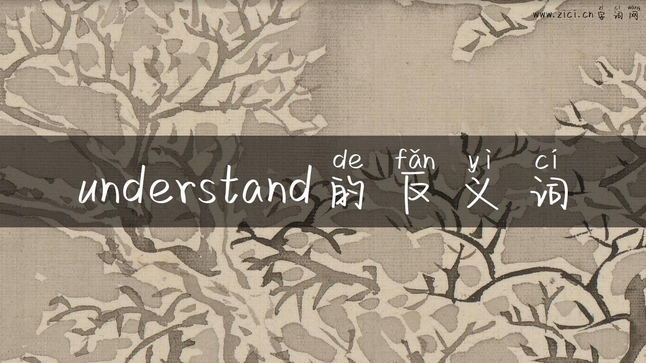 understand的反义词
