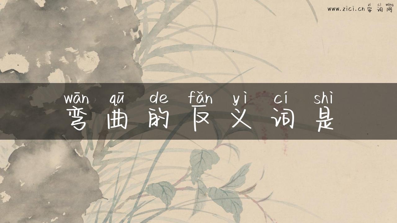 弯曲的反义词是