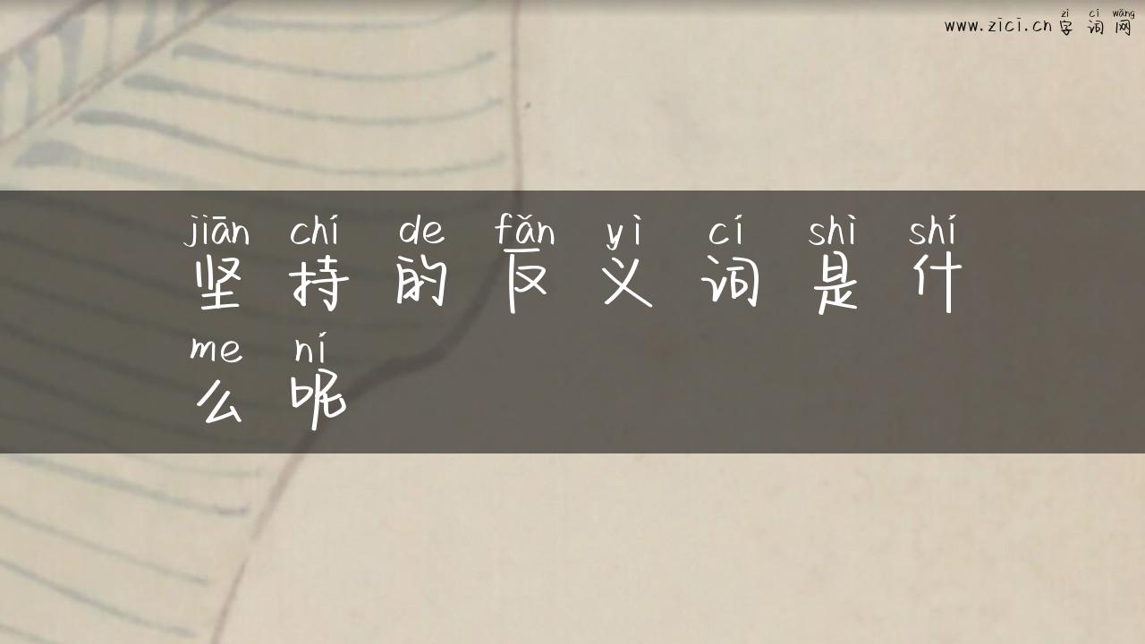 坚持的反义词是什么呢