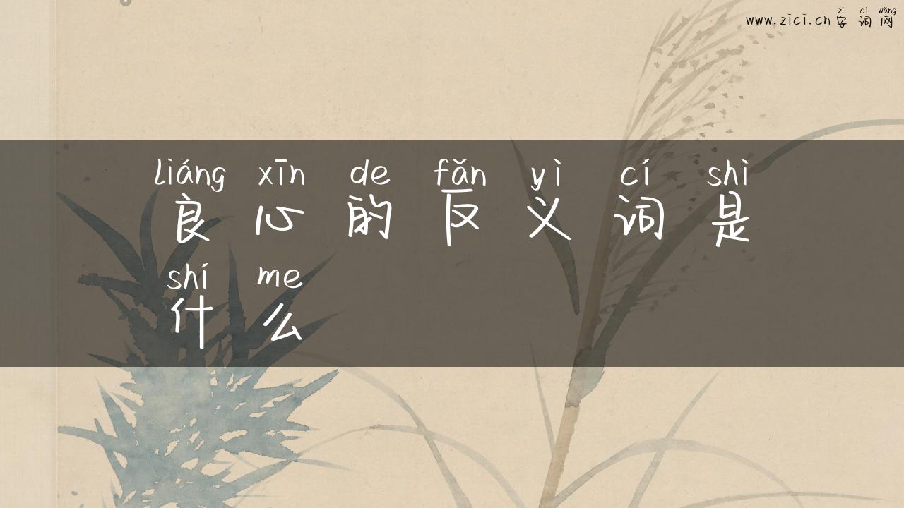 良心的反义词是什么