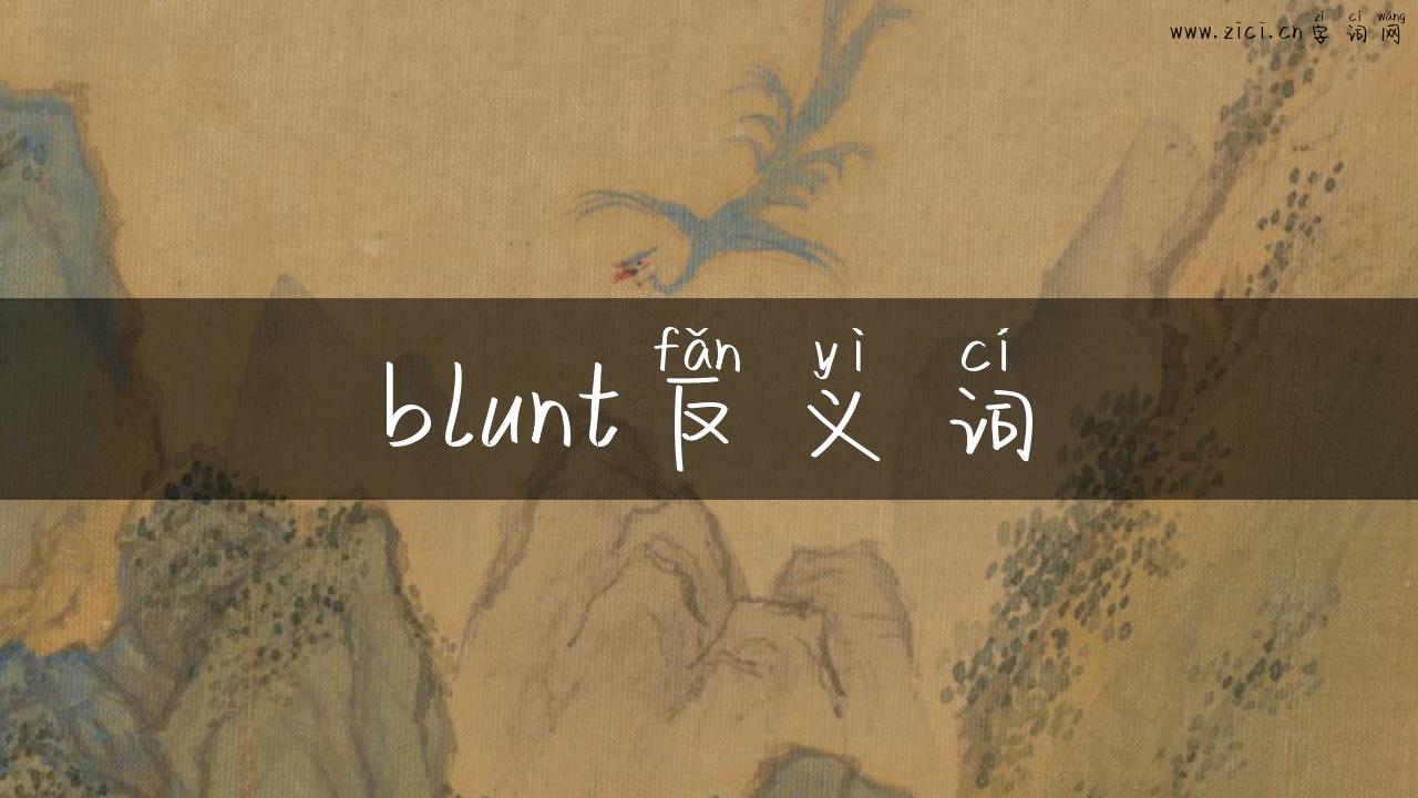 blunt反义词