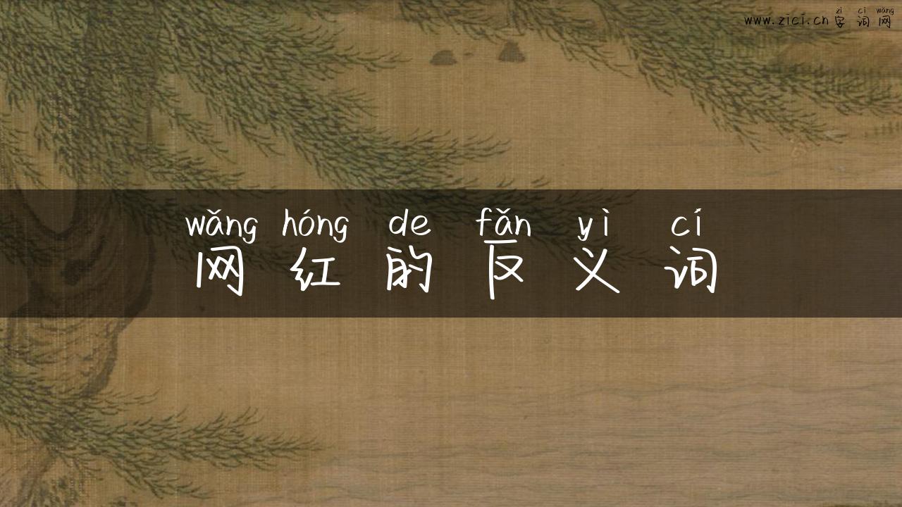 网红的反义词