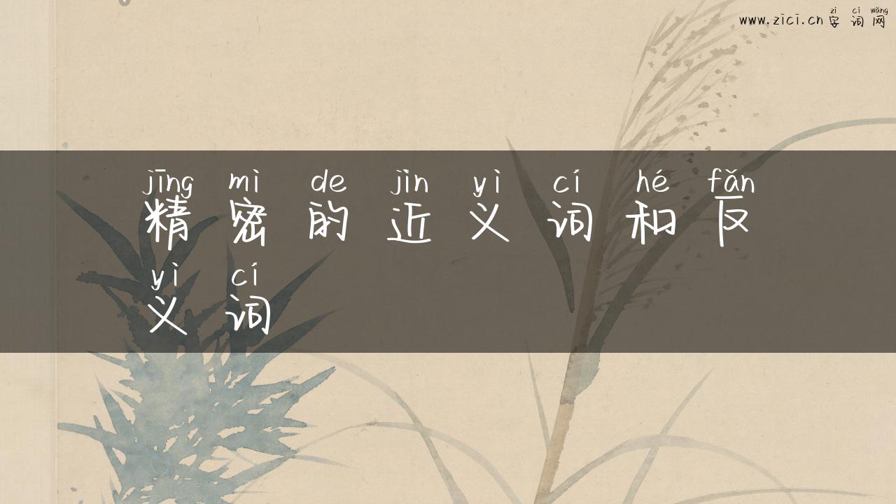 精密的近义词和反义词