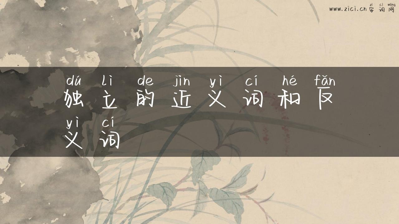 独立的近义词和反义词