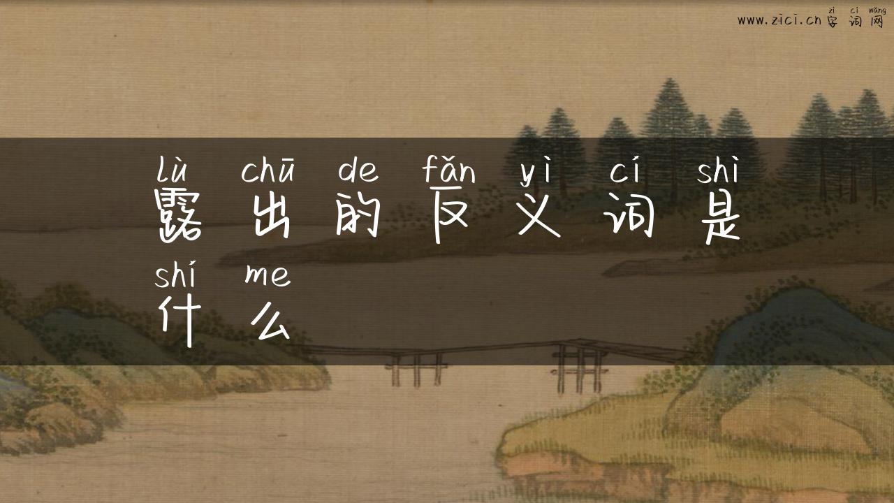 露出的反义词是什么