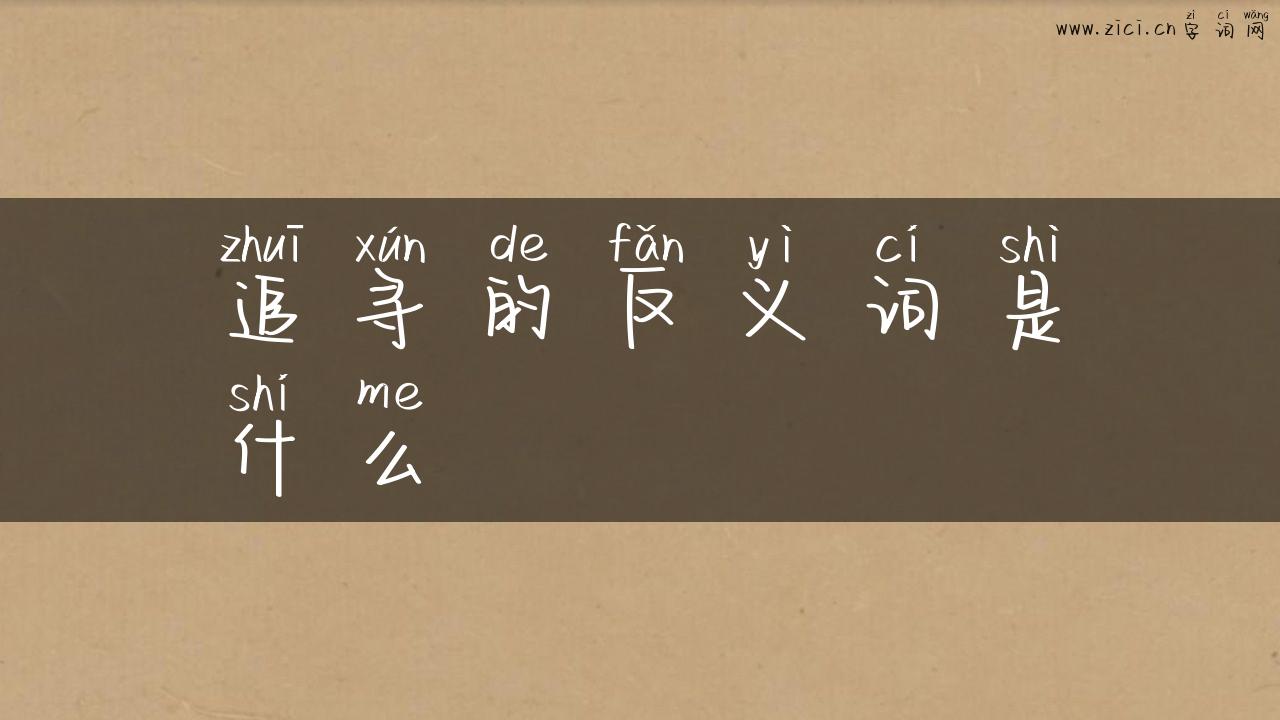 追寻的反义词是什么