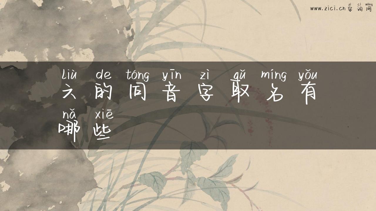 六的同音字取名有哪些