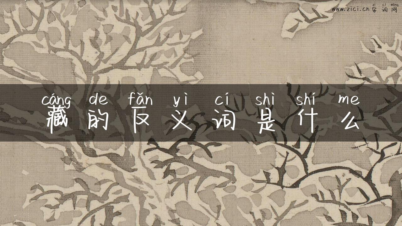 藏的反义词是什么