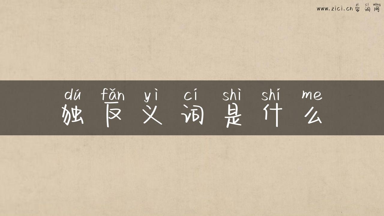 独反义词是什么