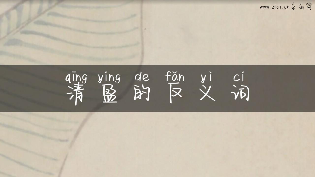 清盈的反义词