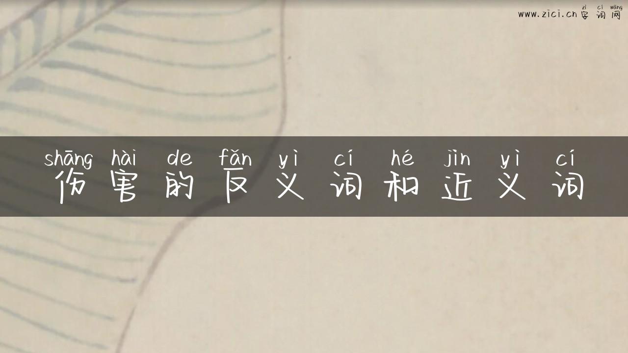 伤害的反义词和近义词