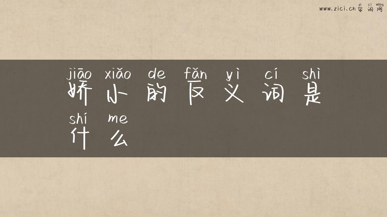 娇小的反义词是什么