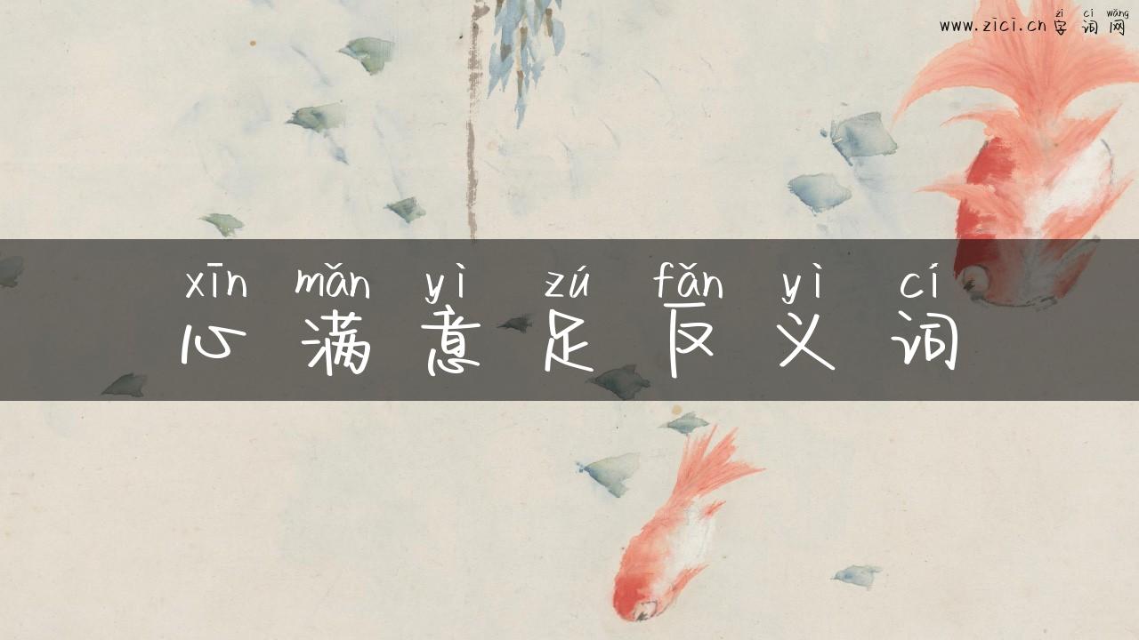 心满意足反义词