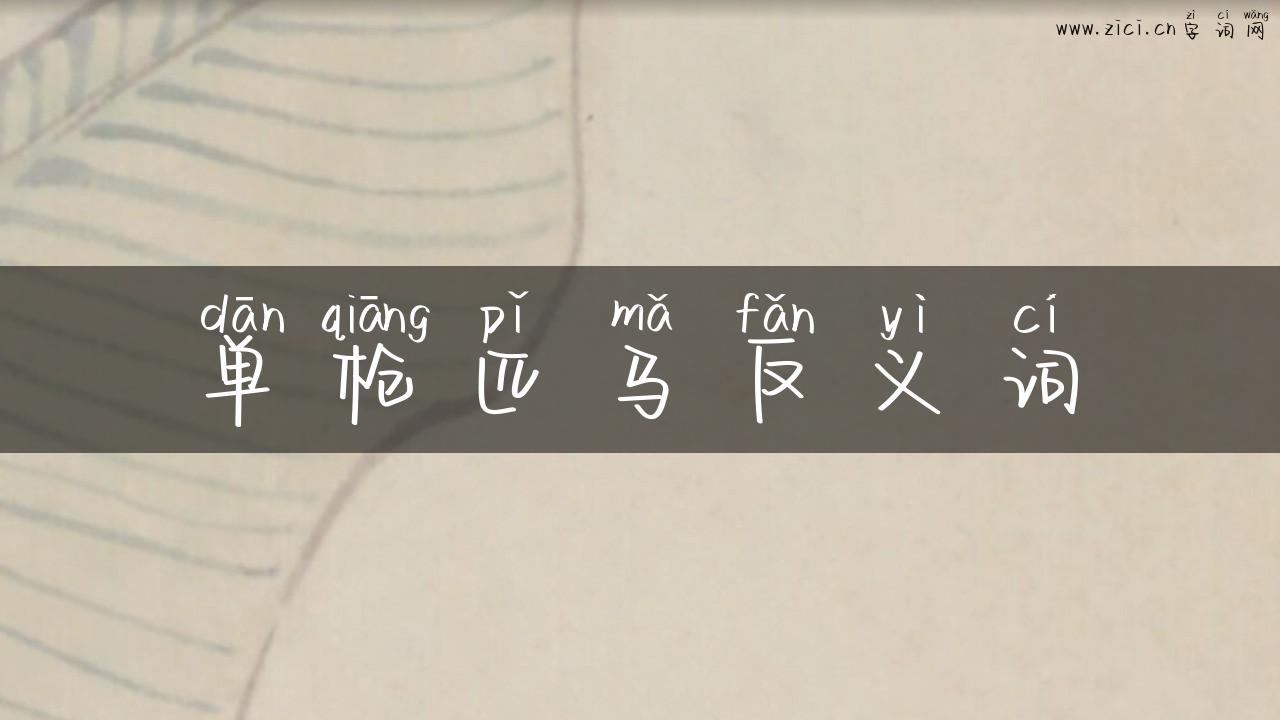 单枪匹马反义词