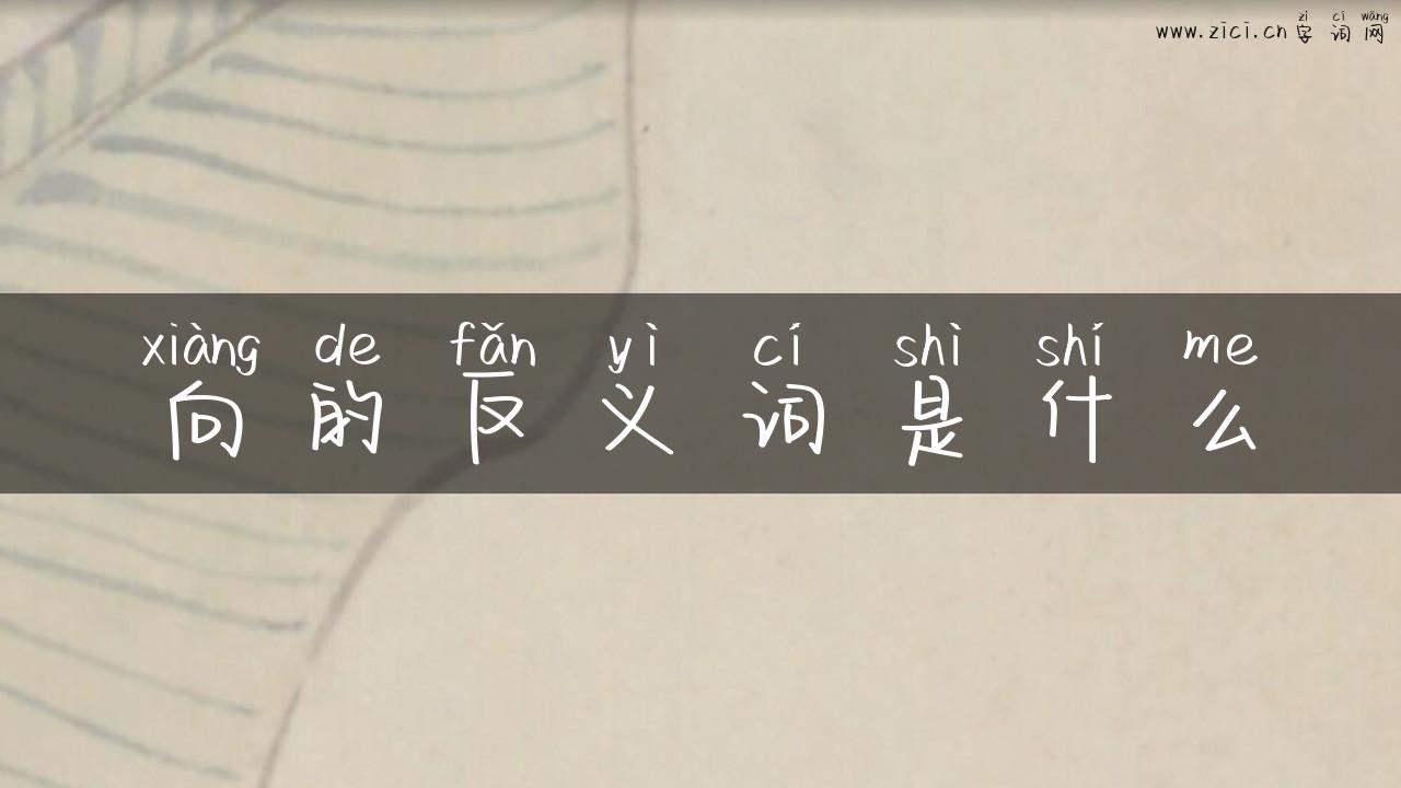 向的反义词是什么