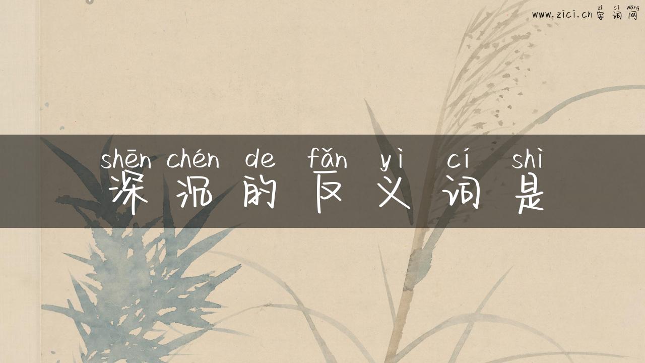 深沉的反义词是