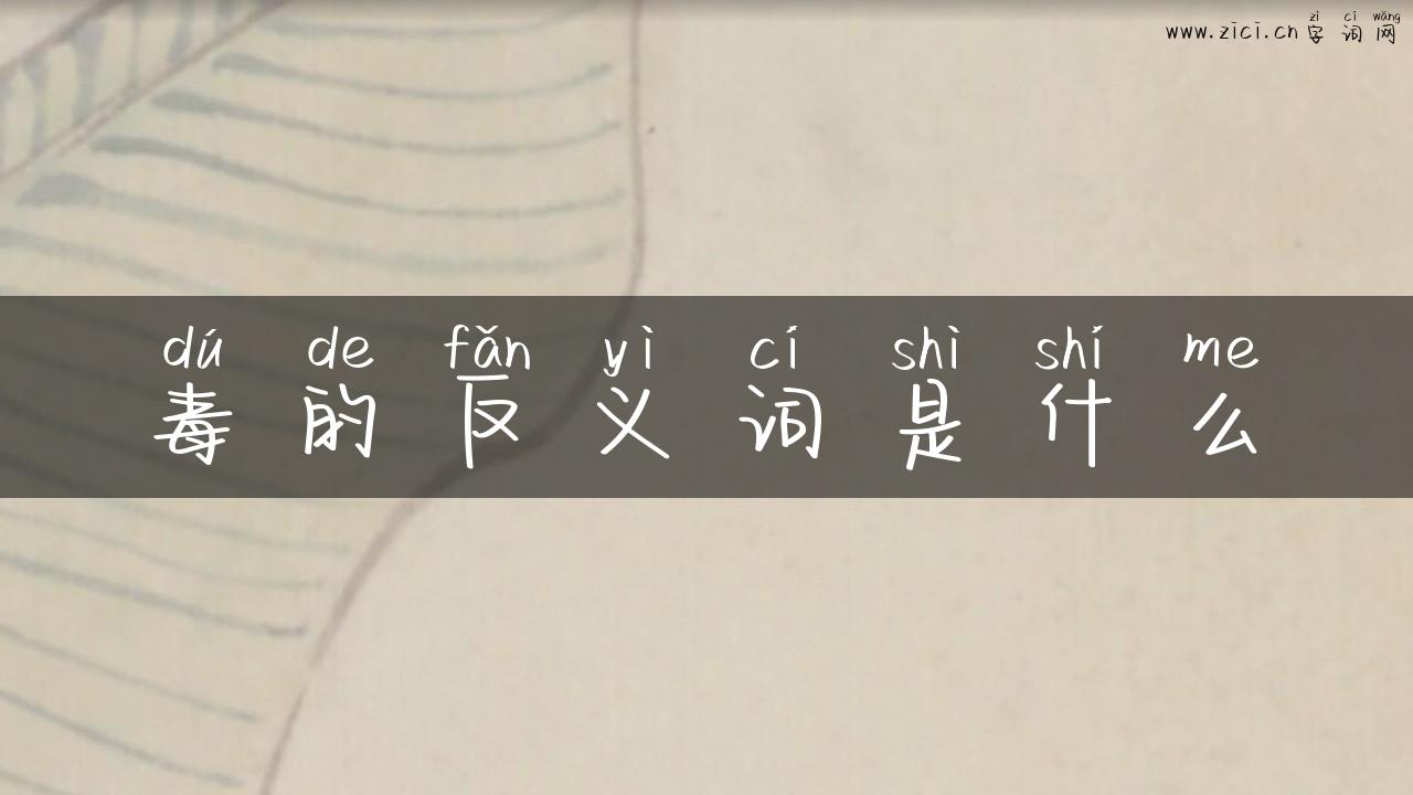 毒的反义词是什么