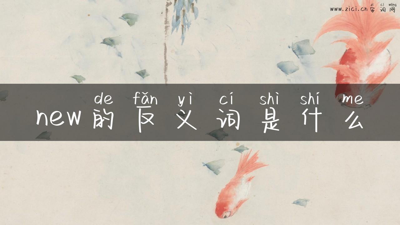 new的反义词是什么