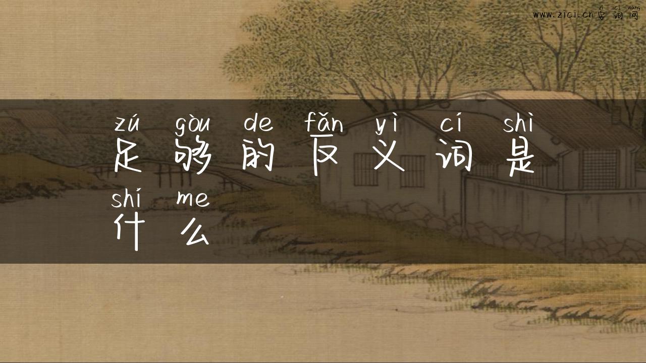 足够的反义词是什么