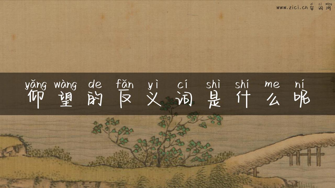 仰望的反义词是什么呢