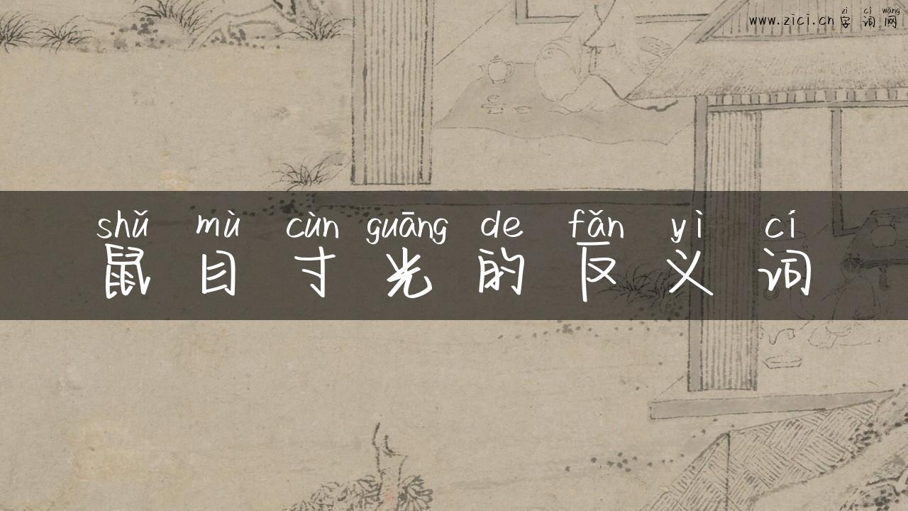 鼠目寸光的反义词