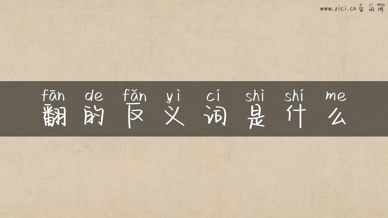 翻的反义词是什么