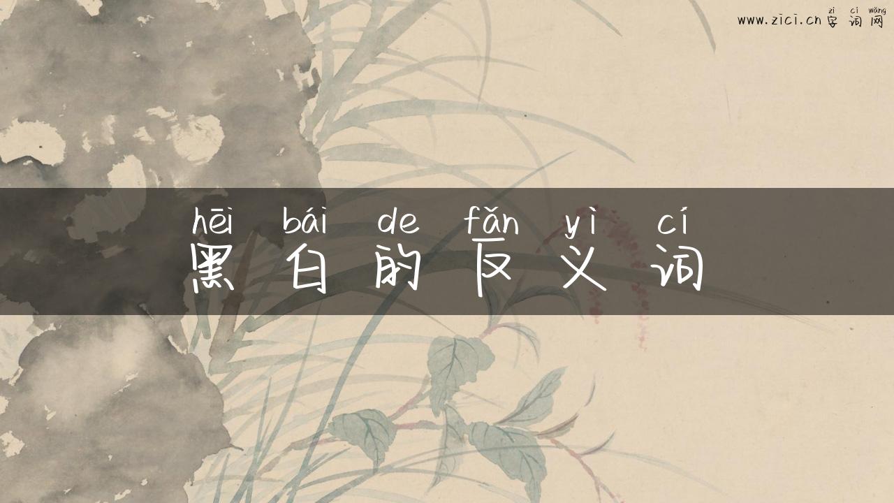 黑白的反义词