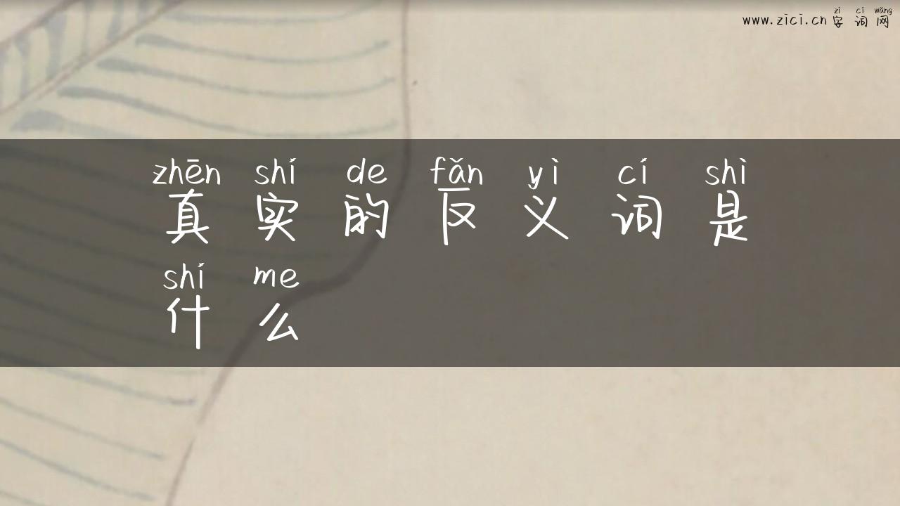 真实的反义词是什么