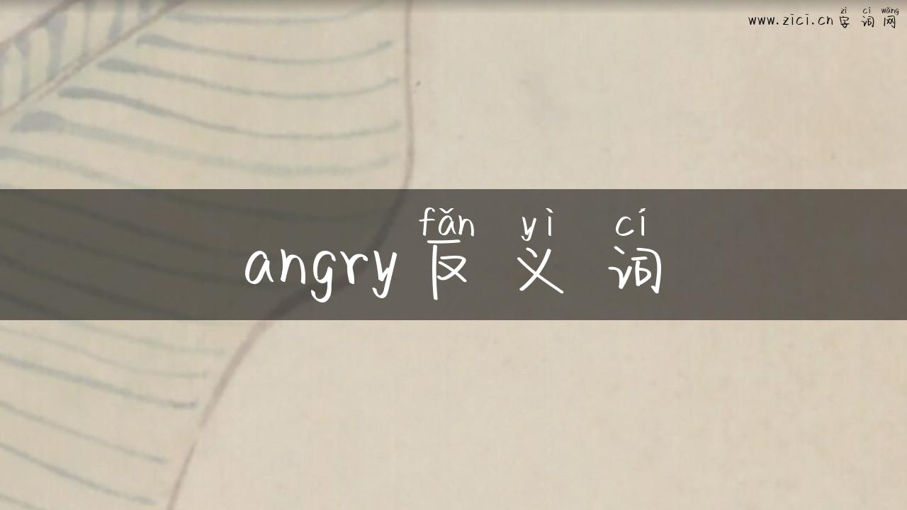 angry反义词