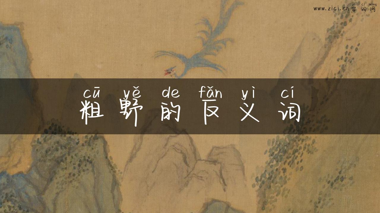 粗野的反义词