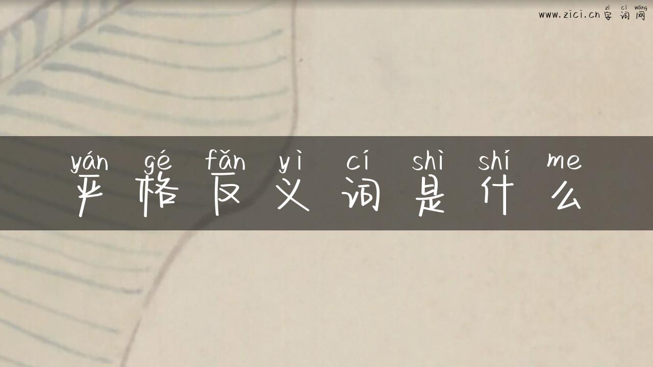 严格反义词是什么