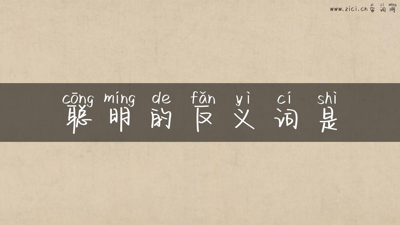 聪明的反义词是