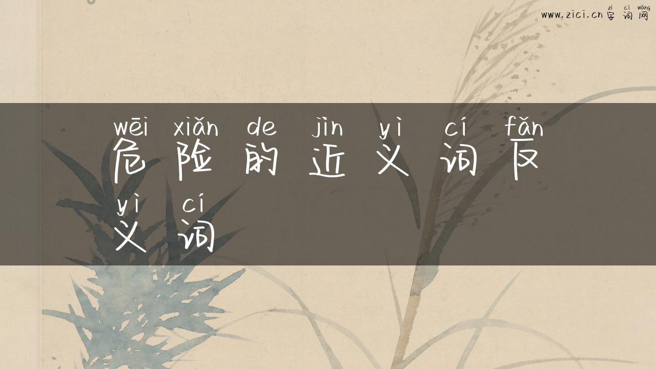危险的近义词反义词