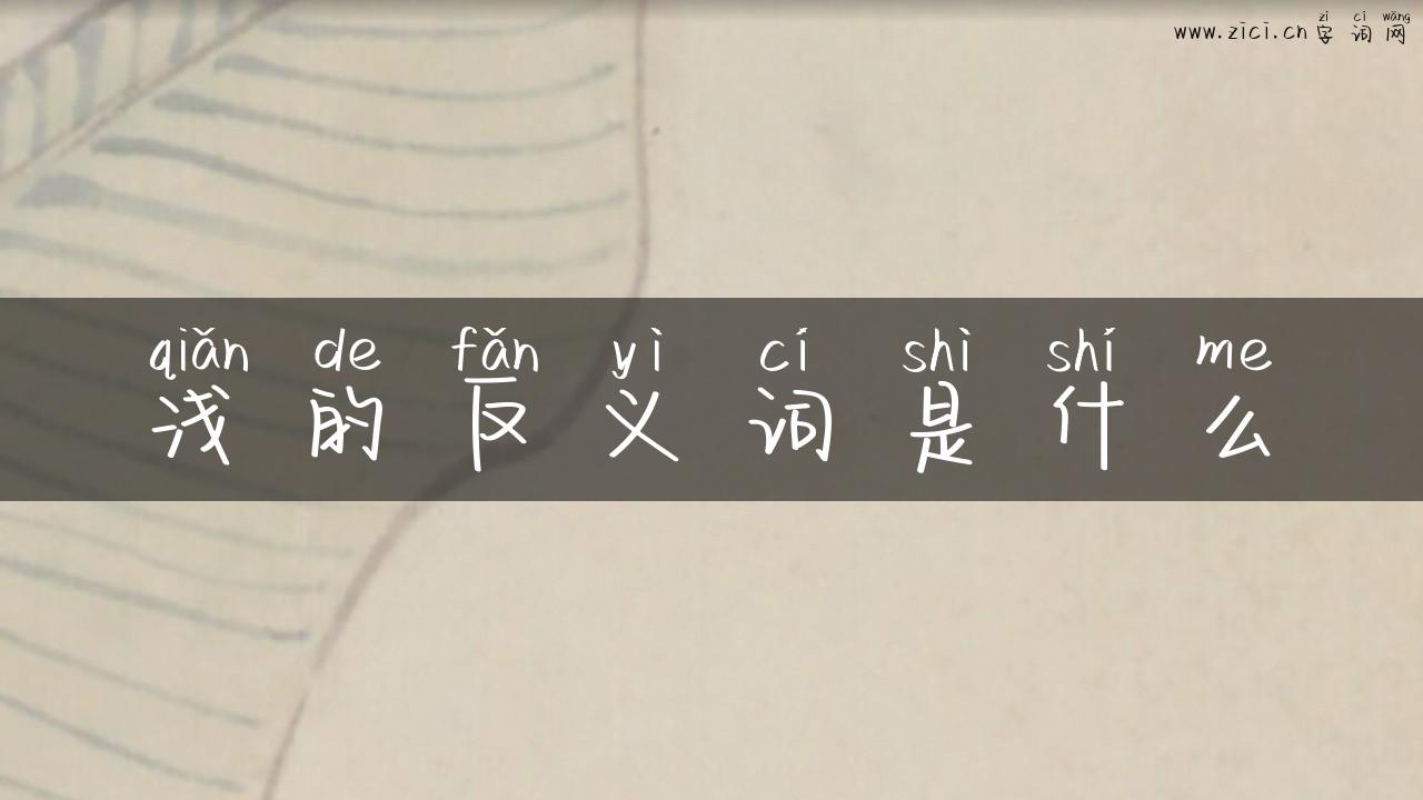 浅的反义词是什么