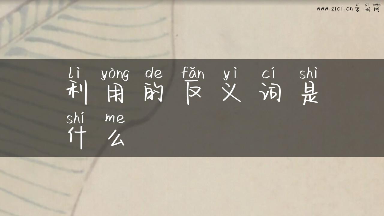 利用的反义词是什么