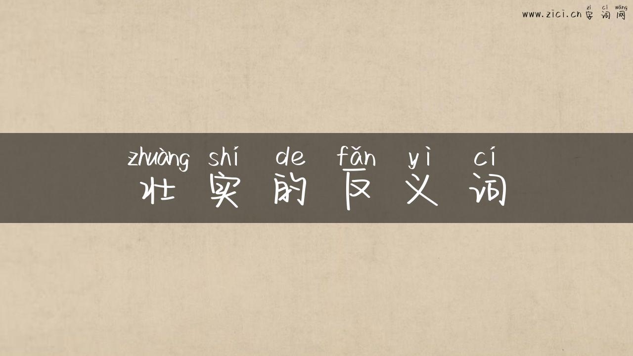 壮实的反义词