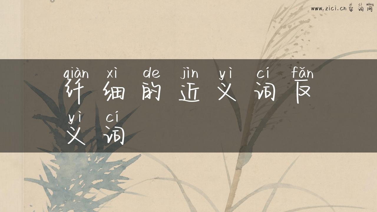 纤细的近义词反义词