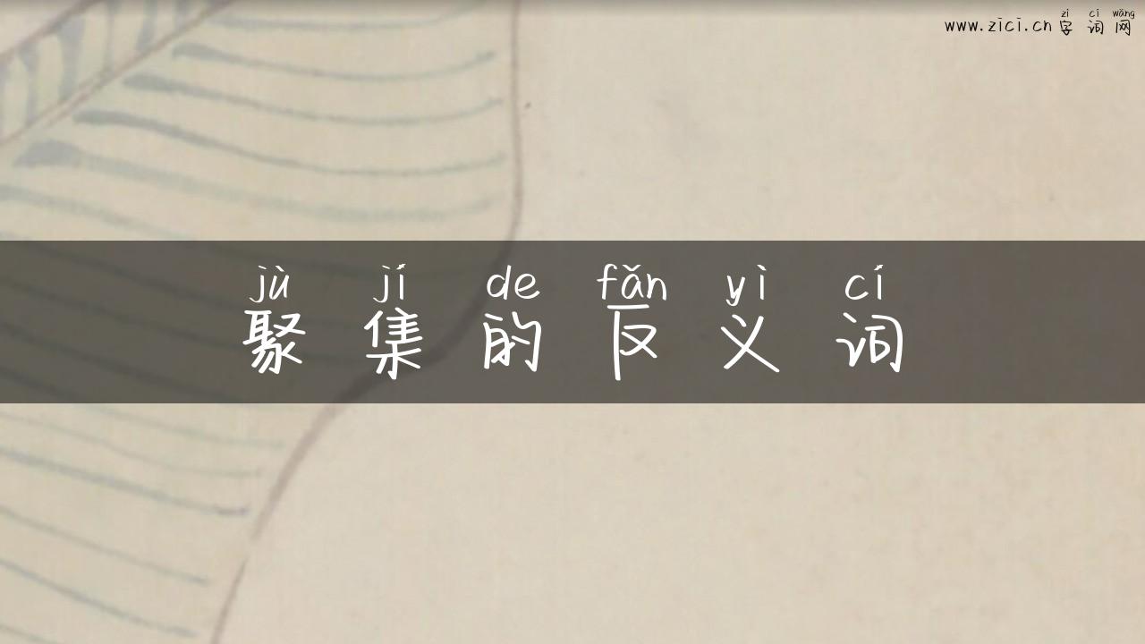 聚集的反义词