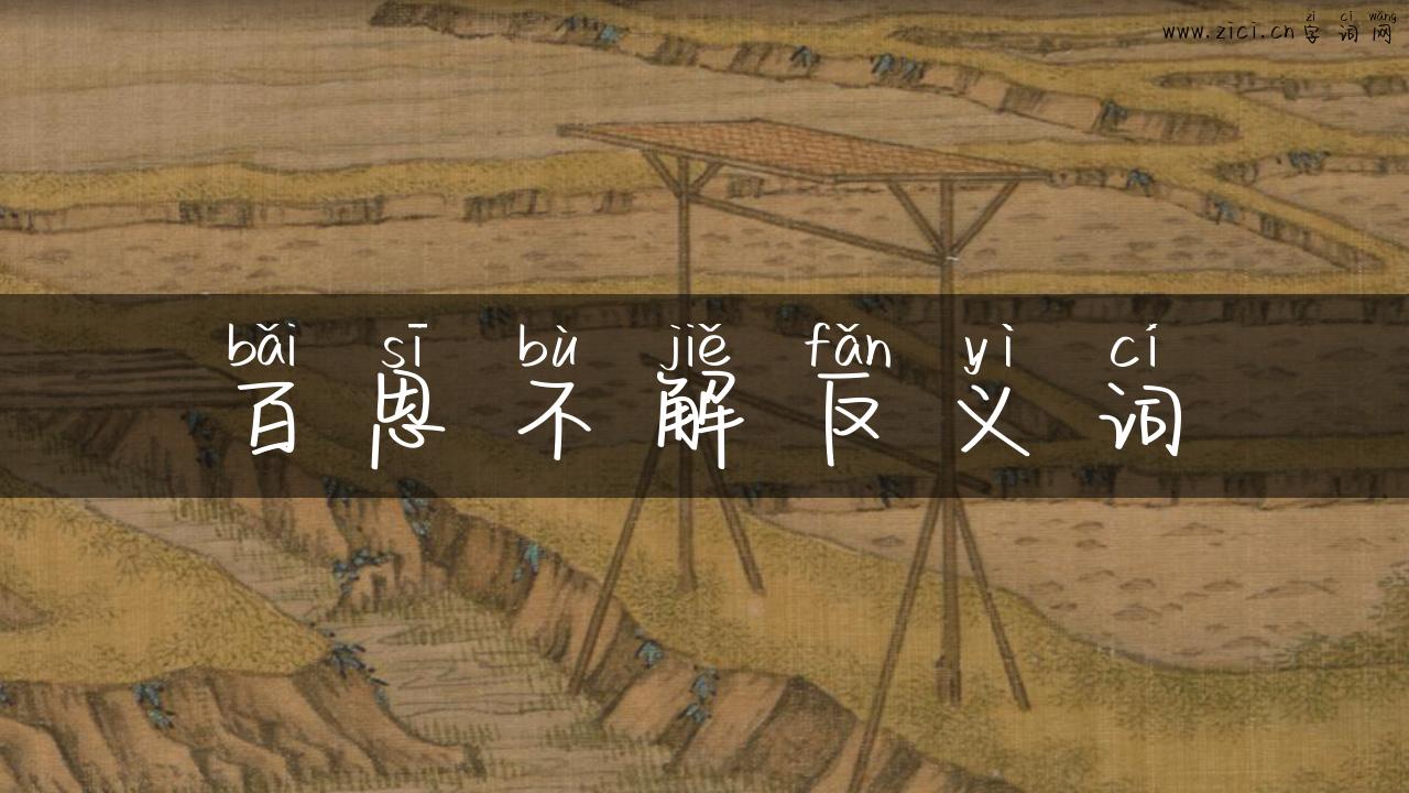 百思不解反义词