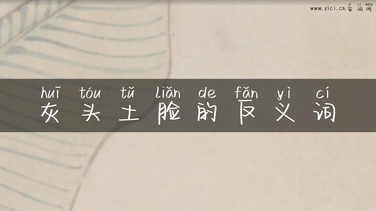 灰头土脸的反义词