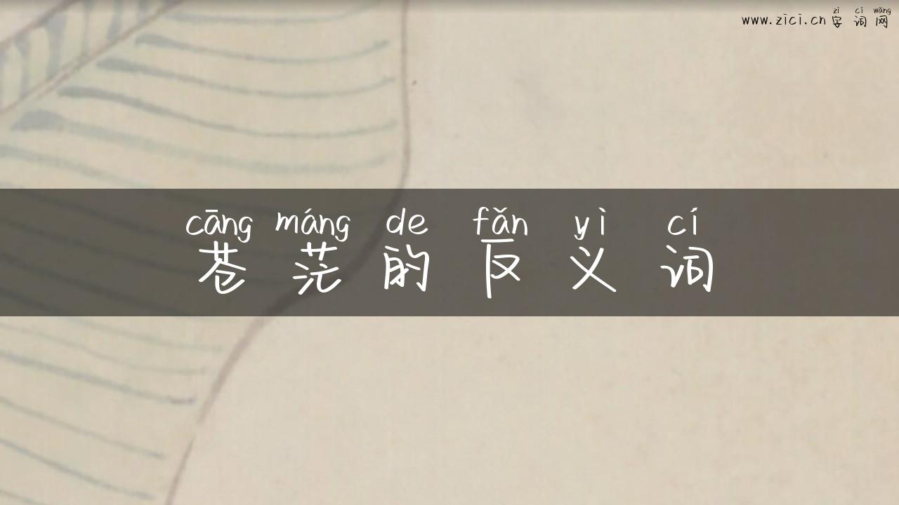 苍茫的反义词