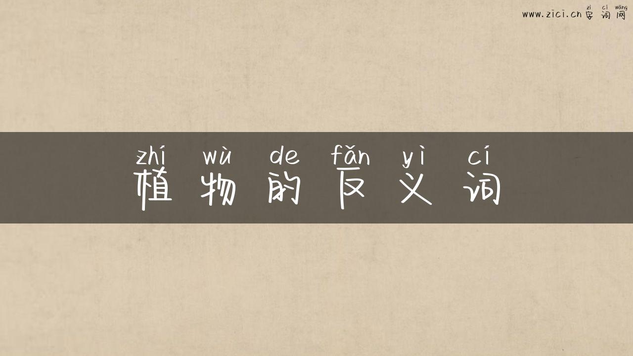 植物的反义词