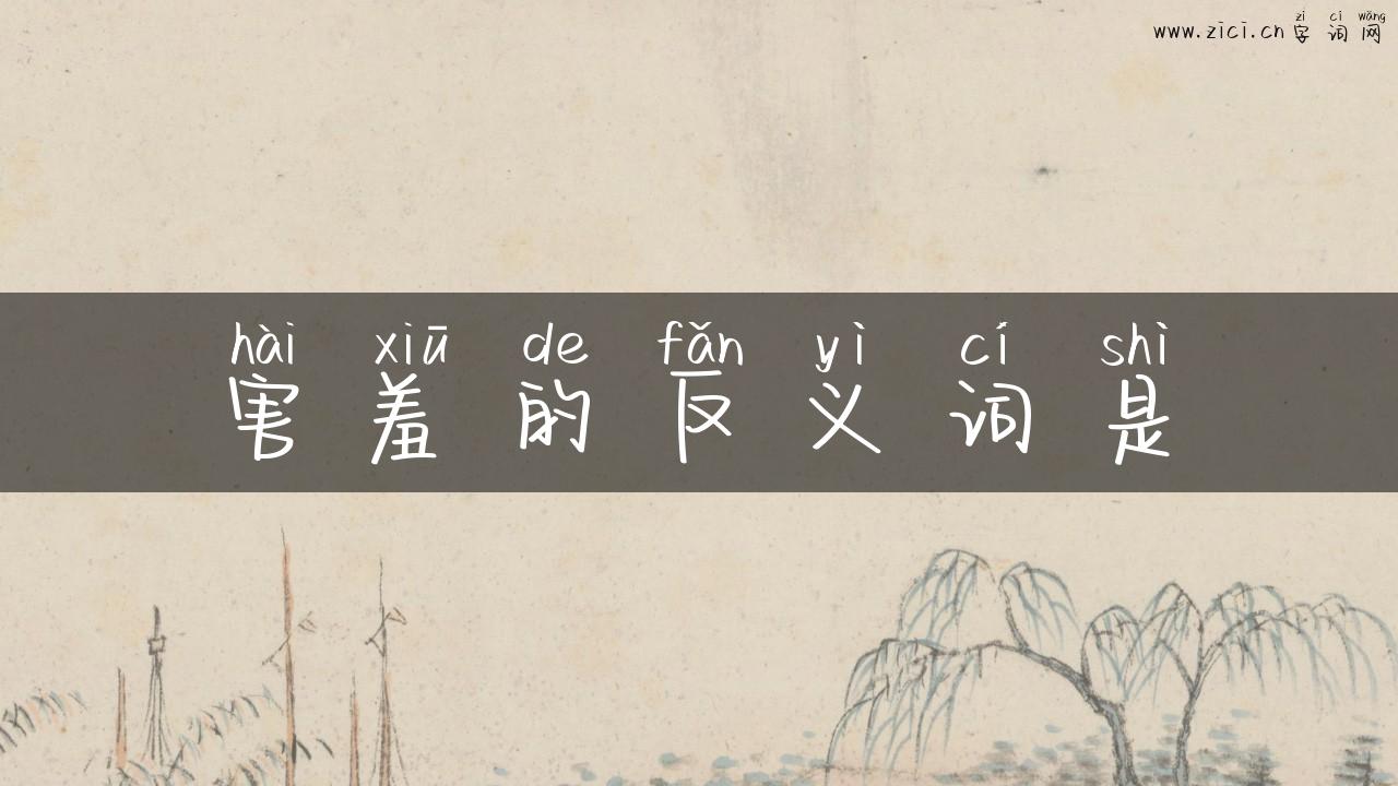 害羞的反义词是