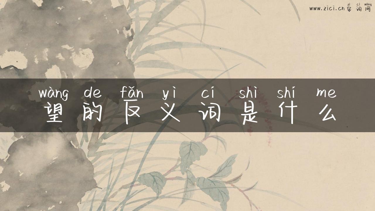 望的反义词是什么