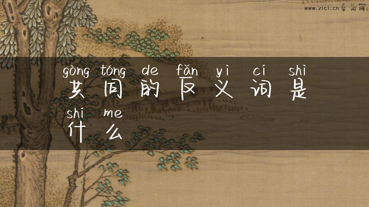 共同的反义词是什么