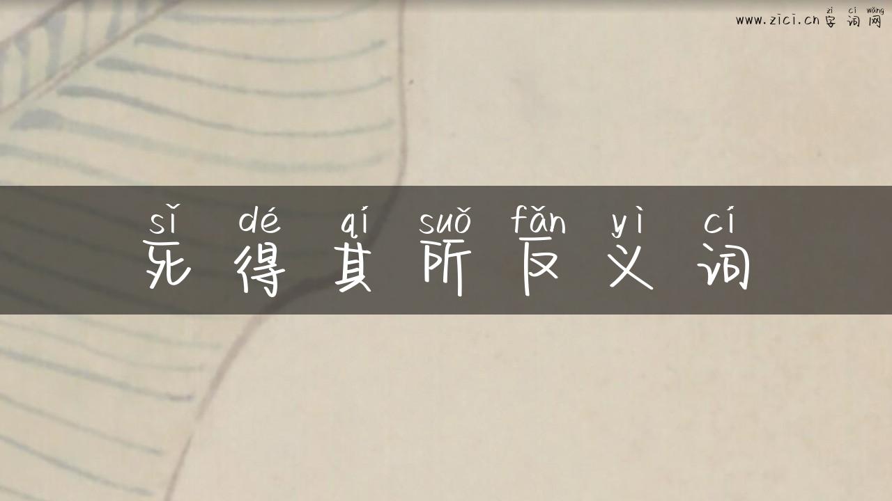 死得其所反义词