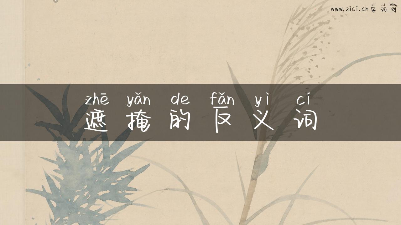 遮掩的反义词
