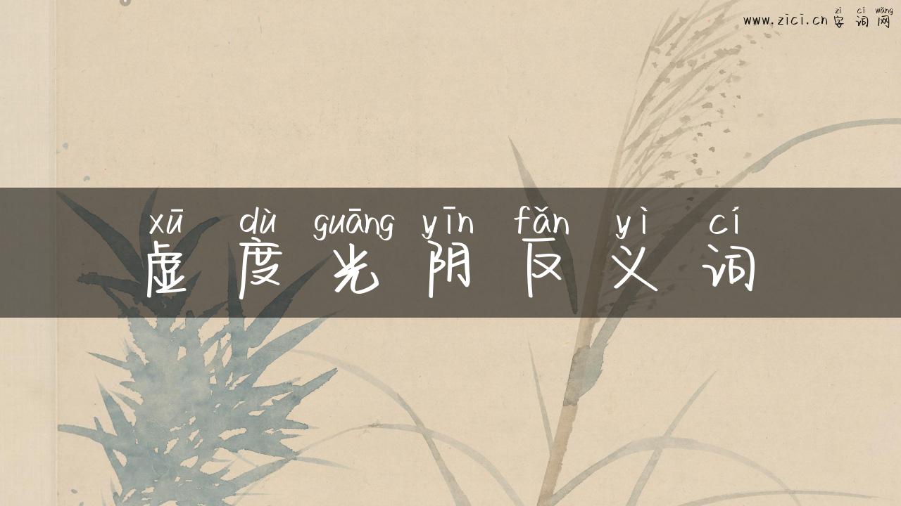 虚度光阴反义词