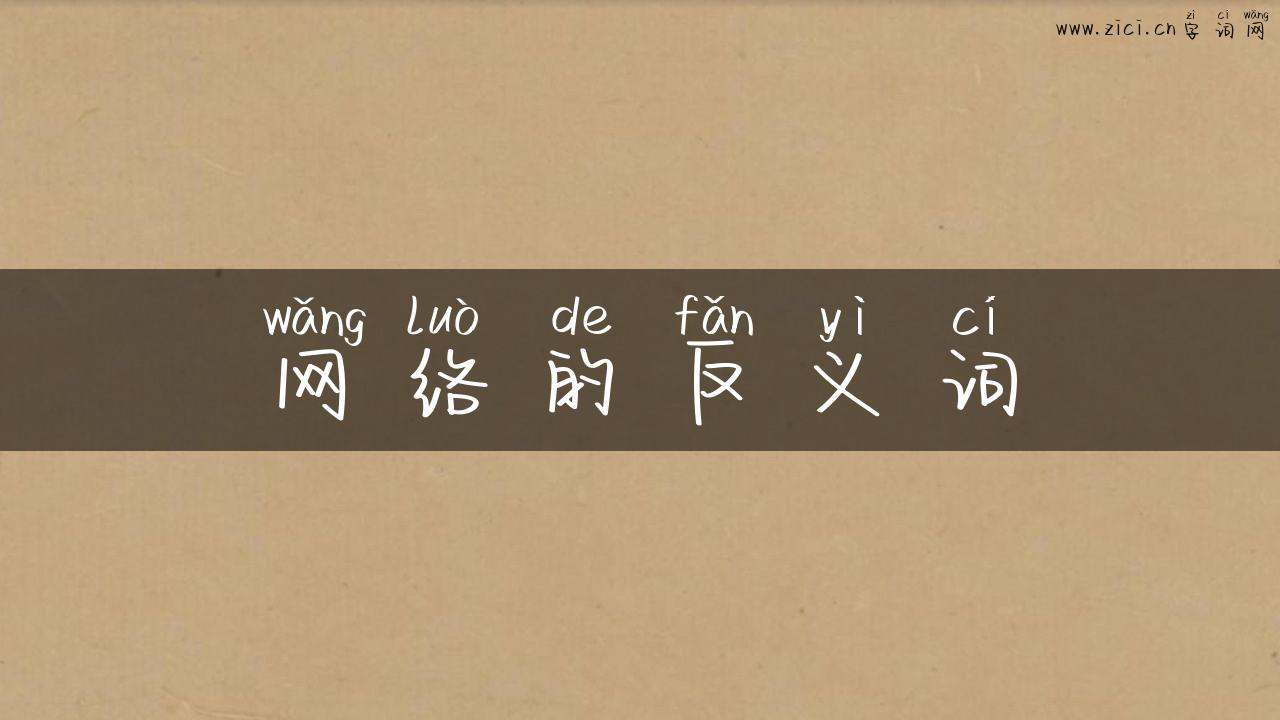 网络的反义词