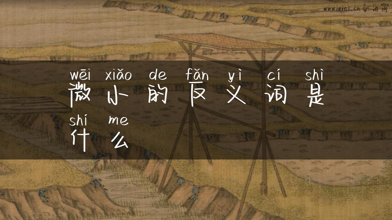微小的反义词是什么